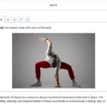 An example of course materials on dance.