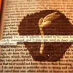 A passage highlighted in a book.