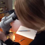 A student viewing something under a microscope.