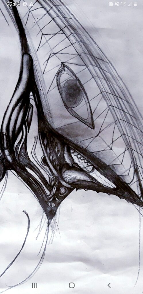 a black and white drawing of a creature.